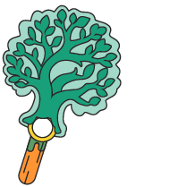 Un sorbet de glace vert en forme d'arbre avec une pièce inserrée à sa base